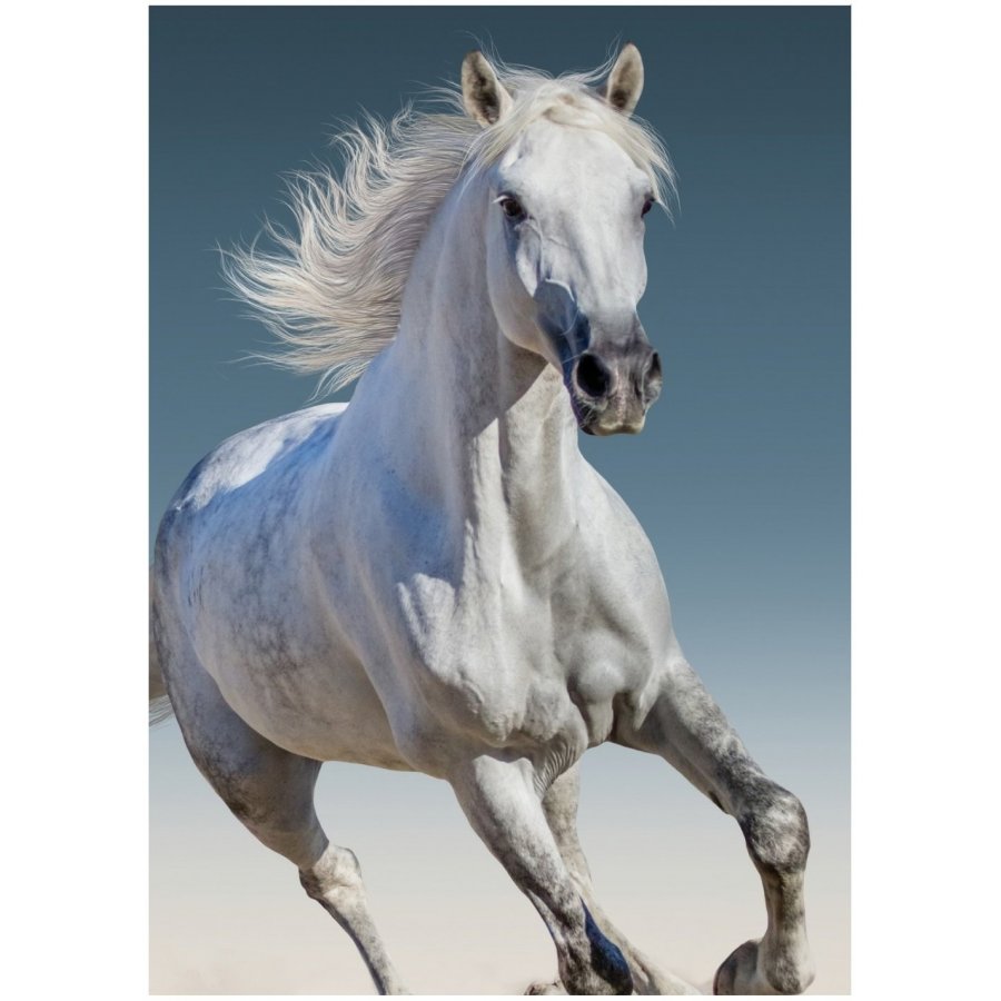 BrandMac · Fleecová deka Kůň bělouš - 100 x 140 cm