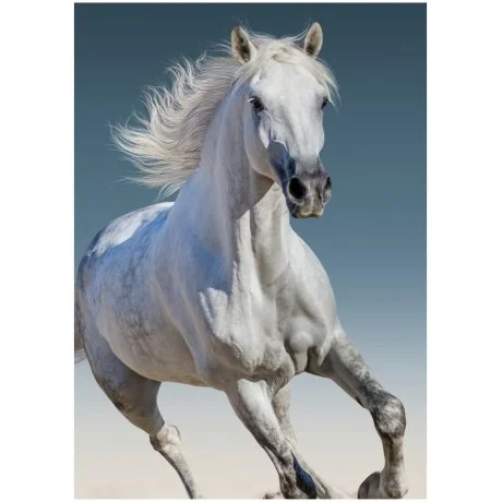 Fleecová deka Kůň bělouš