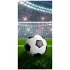 Froté fotbalová osuška s fotbalovým míčem a stadionem v pozadí. Je vyrobená ze 100% bavlny. Povrch potištěné strany osušky je velurový, druhou stranu tvoří hustě tkaná bílá froté smyčka s vynikající savostí. Využijete ji nejen doma, ale hodí se i na pláž u moře, nebo k bazénu na zahradě. Barvy této osušky jsou velice intenzivní i po mnoha vypráních. Její rozměry jsou 70 x 140 cm.
Tato osuška získala mezinárodní certifikát OEKO-TEX STANDARD 100, který zaručuje rozměrovou a barevnou stálost materiálu i to, že výrobek neobsahuje škodlivé látky.