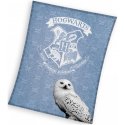 Velká coral fleece deka Harry Potter - sova Hedvika