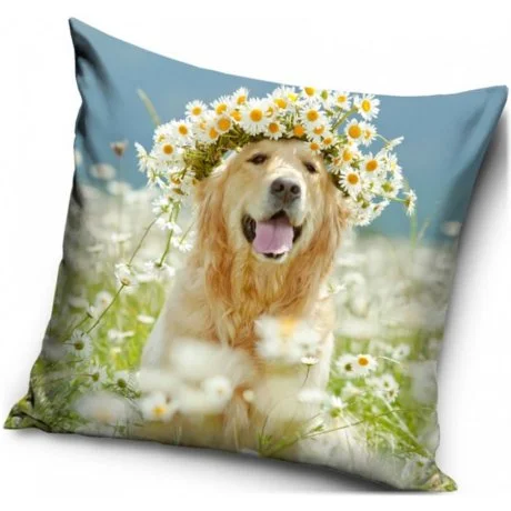 Dekorační polštář Zlatý retrívr