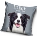 Dekorační polštář Štěně Border kolie