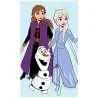 Dívčí ručníček Ledové království - Frozen - motiv Přátelé navždy. Zdobí jej obrázek princezen Anny a Elsy s jejich kamarádem sněhulákem Olafem.
Tento dětský ručník je vyroben ze 100% bavlny s gramáží 320 gr./m². Lícní strana ručníku je tvořena jemně střiženým froté s velurovým povrchem, proto je velice příjemná na dotek. Na rubu jsou hustě tkané froté smyčky, které zajišťují skvělou savost. Barvy tohoto ručníku jsou syté a výrazné, a to i po mnoha vypráních. Jeho rozměry jsou 30 x 50 cm, proto se vejde třeba i do batůžku na výlet. Vhodný je však i do školy, či do školky.
Tento ručník získal mezinárodní certifikát OEKO-TEX STANDARD 100,  který zaručuje rozměrovou a barevnou stálost materiálu i to, že výrobek neobsahuje škodlivé látky.
TIP • Pokud si i vaše holčička oblíbila příběhy princezen Anny a Elsy a jejich kamarádů, prohlédněte si celou naši nabídku produktů s motivem Frozen.
