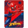 
Dětská fleece deka Spider-man, vyrobená z měkkého polar fleece s gramáží 220 g/m². Skvělá volba pro fanoušky komiksů a filmů se superhrdiny, zejména těch od Marvelu. Má intenzivní barvy a rozměry 100 x 140 cm.