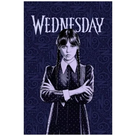 Polar fleece deka Wednesday