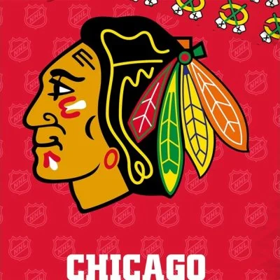 Hokejové ložní povlečení NHL Chicago Blackhawks Shields