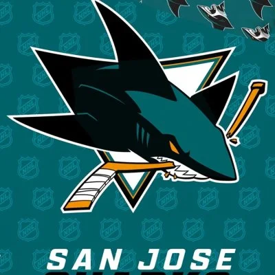 Hokejové ložní povlečení NHL San Jose Sharks Shields