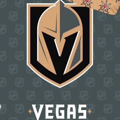 Hokejové ložní povlečení NHL Vegas Golden Knights Shields