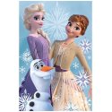 Dětská fleecová deka Ledové království - princezny s Olafem