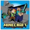 Dětský ručník s motivem Minecraft potěší každého malého fanouška této populární hry. Je vyroben ze 100% bavlny s gramáží 320 g/m². Lícní strana má velurový povrch příjemný na dotek, rubová froté strana skvěle saje. Díky malému rozměru 30 × 30 cm je ideální na obličej, do školky, školy i na cesty. Certifikát OEKO-TEX STANDARD 100 zaručuje kvalitu i zdravotní nezávadnost.