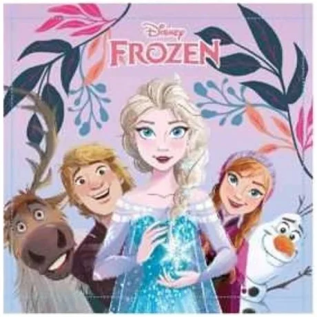 Malý dívčí ručník na obličej Ledové království