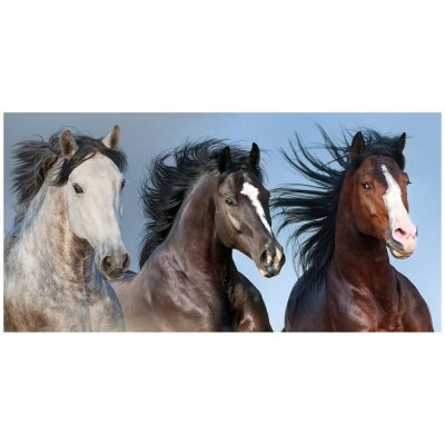 Bavlněná plážová osuška Divocí koně