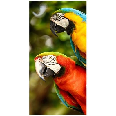 Bavlněná plážová osuška Barevní papoušci Ara