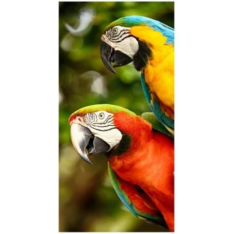 Bavlněná plážová osuška Barevní papoušci Ara