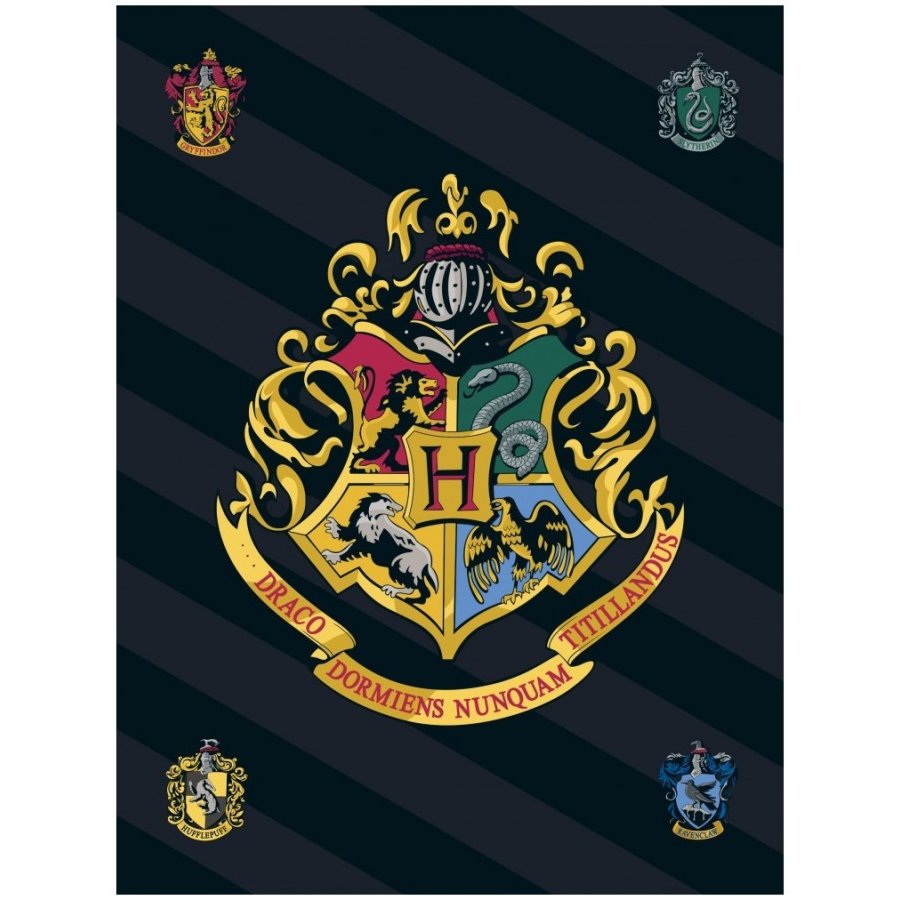 Javoli · Fleecová deka Harry Potter s erbem čarodějnické školy v Bradavicích