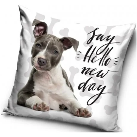 Povlak na polštář s Pitbullem - Say Hello new day