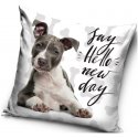 Polštář s Pitbullem - Say Hello new day