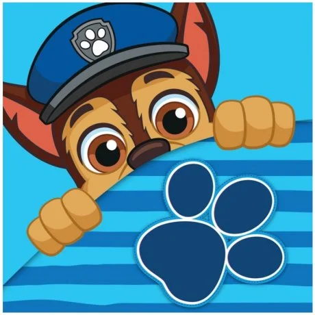 Chlapecký magický ručník Tlapková patrola - Paw Patrol