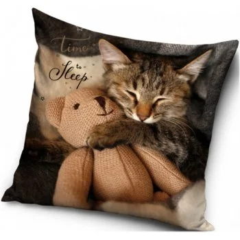 Povlak na polštář Kocour a medvídek Mr. Beana