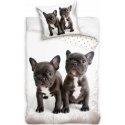 Bavlněné ložní povlečení Dva buldočci