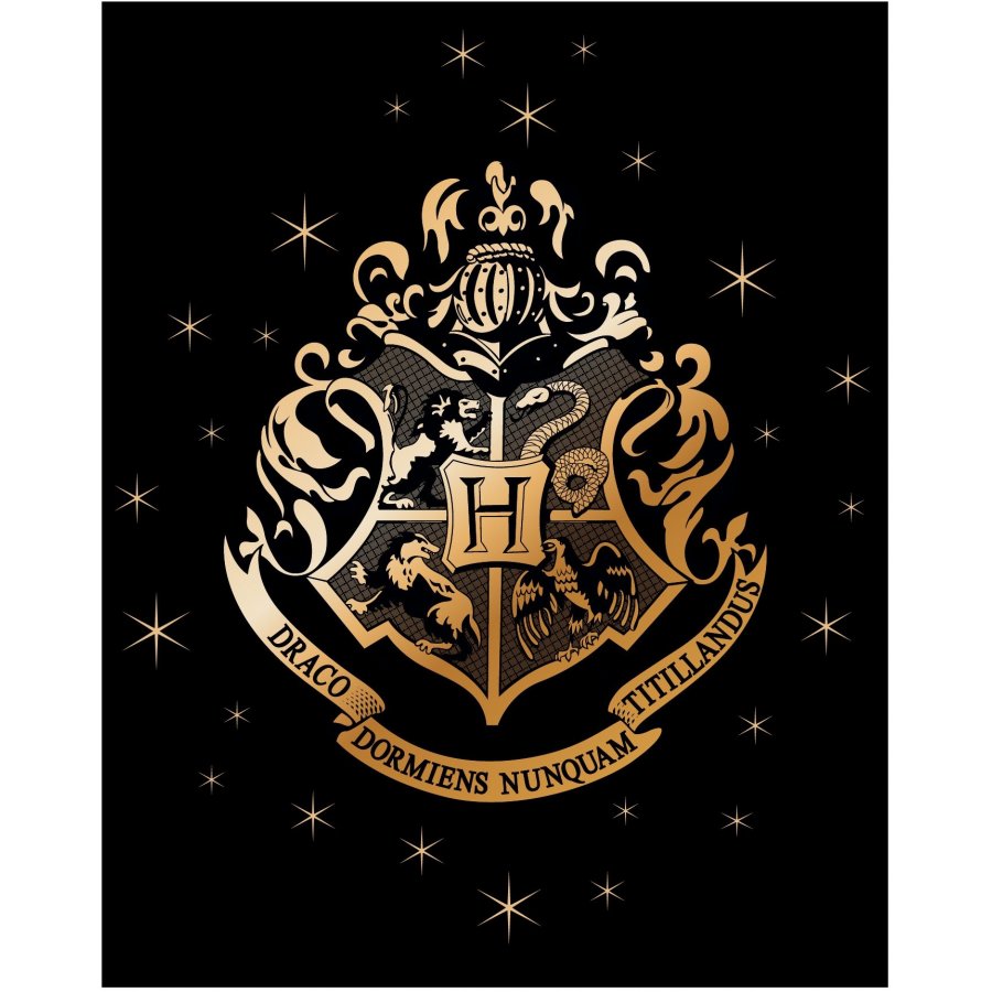 E plus M · Fleecová deka Harry Potter se zlatým erbem Bradavic - nano coral 220 gr./m² - 120 x 150 cm